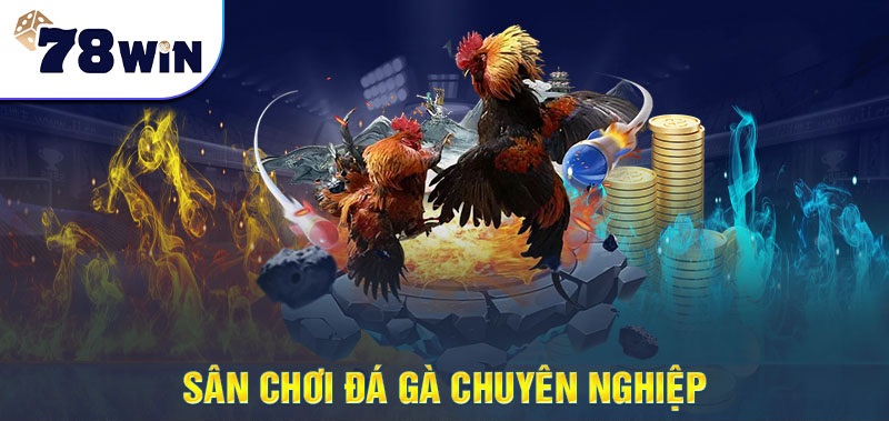 Tìm hiểu về game Đá Gà tại nhà cái 78win online là gì?