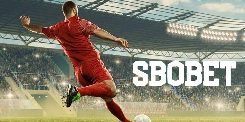 Tại sao nên tham gia cá cược Sbobet 78win